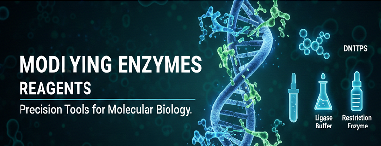 mol-bio-enzymes