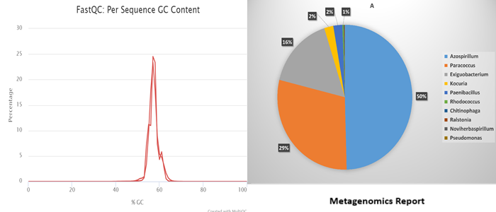 metagene