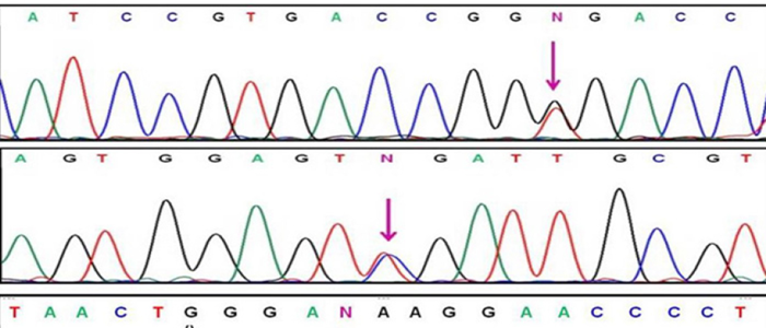 mutation