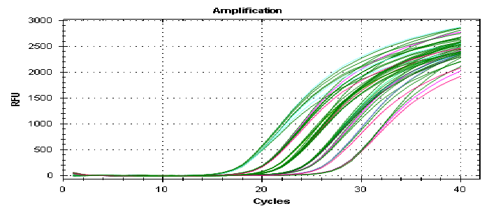 qpcr